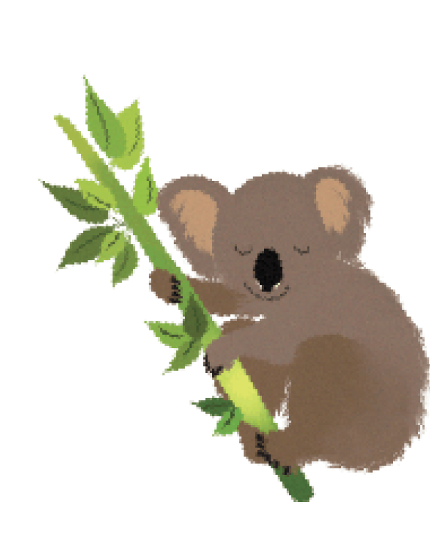 sydney duty free leaflet background6