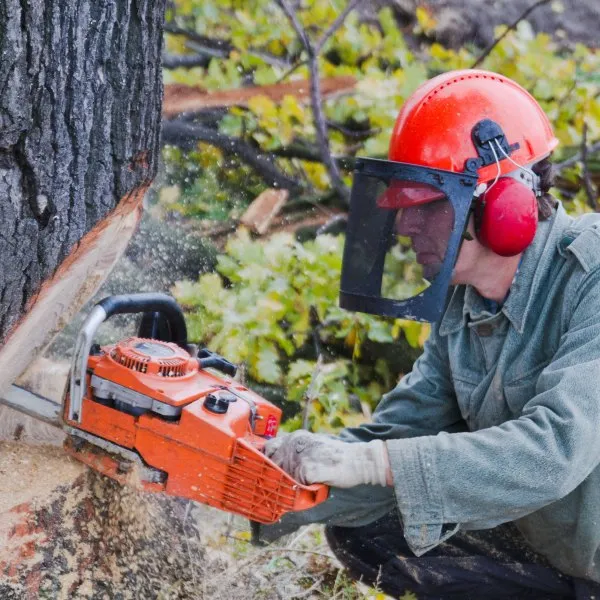 Helmet-Mounted Earmuffs