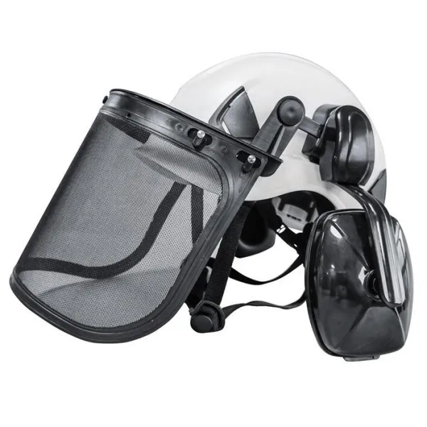 Hard Hat with Ear Muff