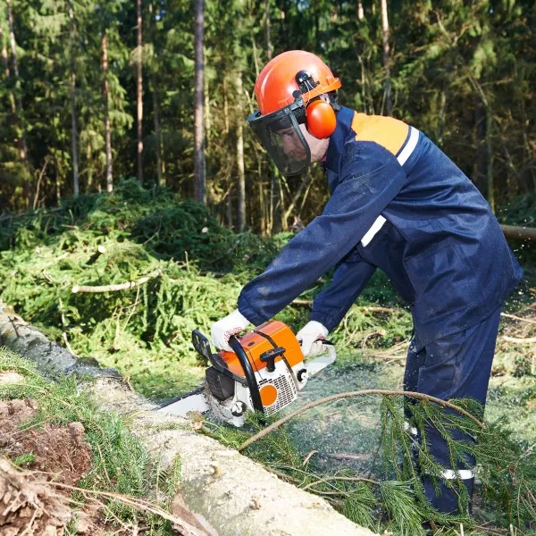 Head Protective Equipment