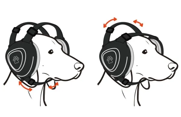 Dog ear muff fit check showing seal position and stable band