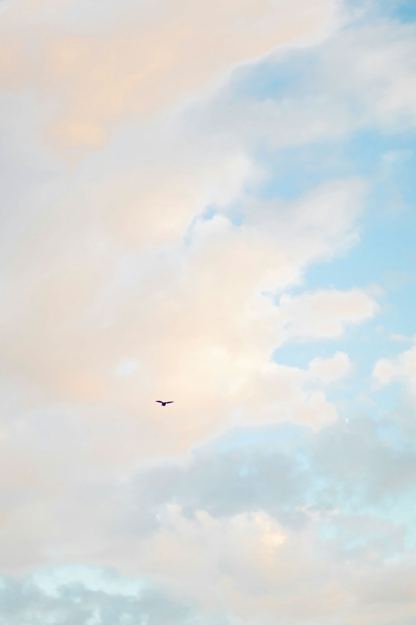 Opplev solnedgang fra magiske Trolltunga i Odda