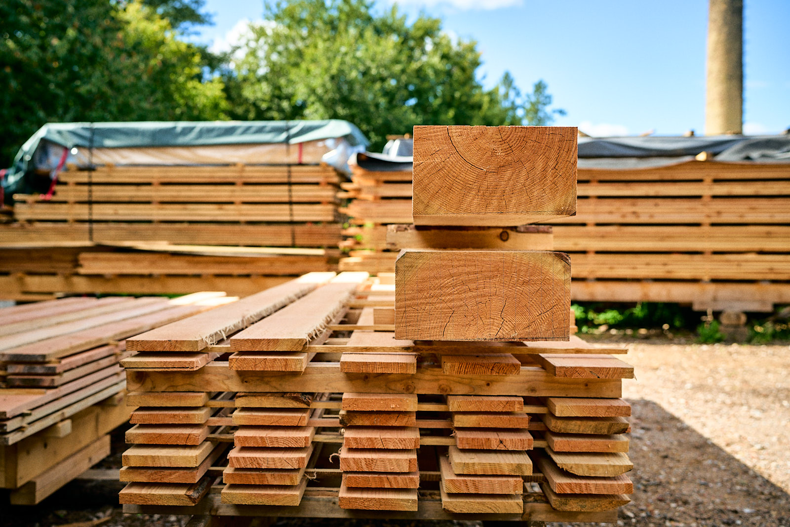 Stacked lumber planks and large wooden beams outdoors with trees and blue sky in the background.