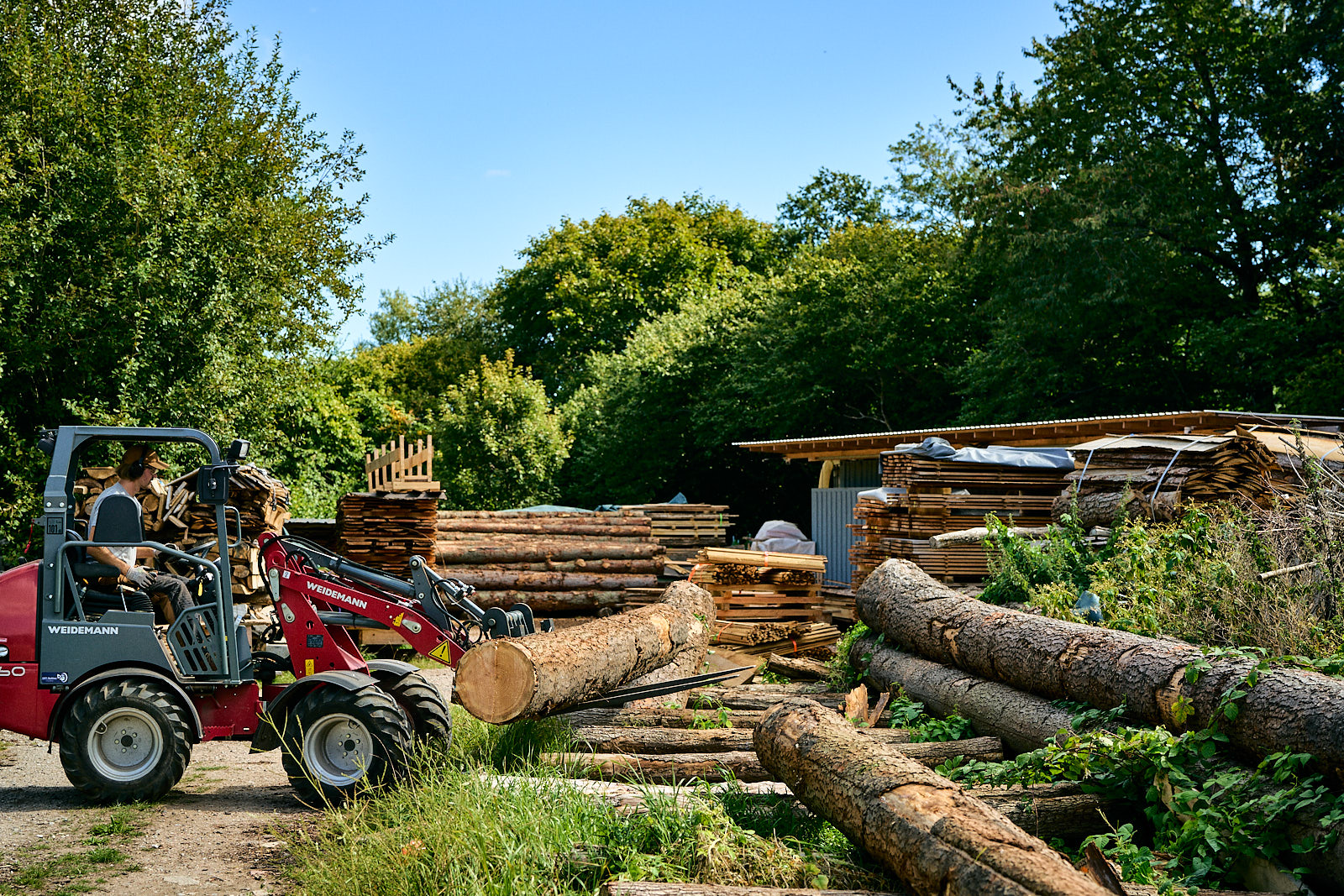 Worker operating a Weidemann loader to move a large log in a lumber yard surrounded by stacked wood and greenery.