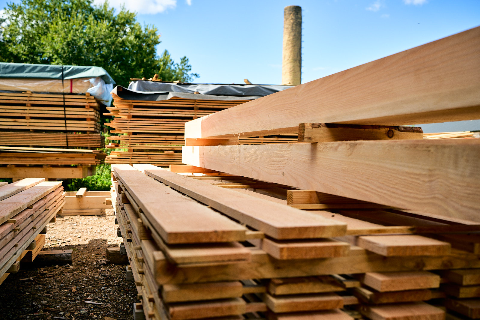 Stacks of neatly arranged lumber boards outdoors with trees and a tall cylindrical structure in the background.
