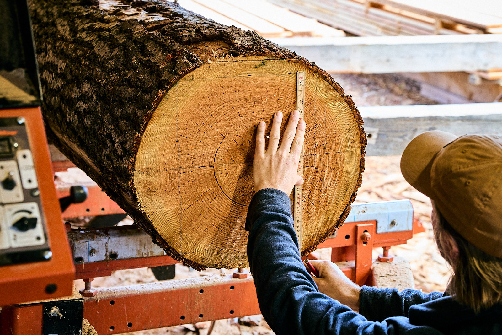 Person measuring diameter of a large log with a ruler in a sawmill.