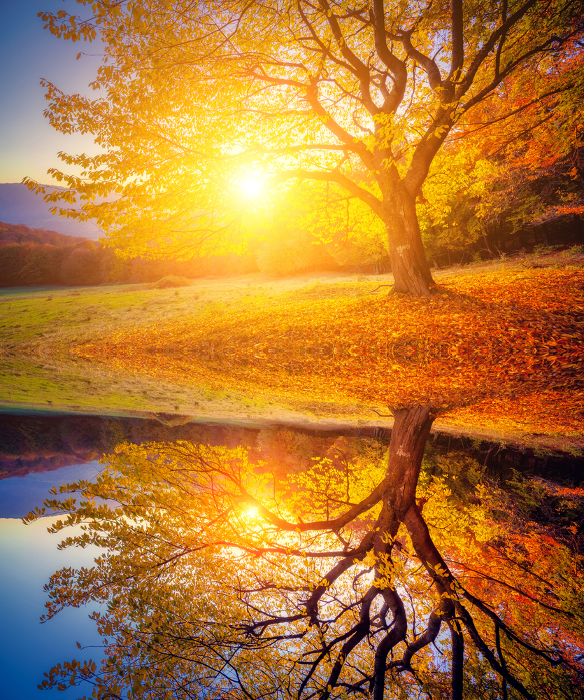 Warm autumn landscape representing 4HG Group