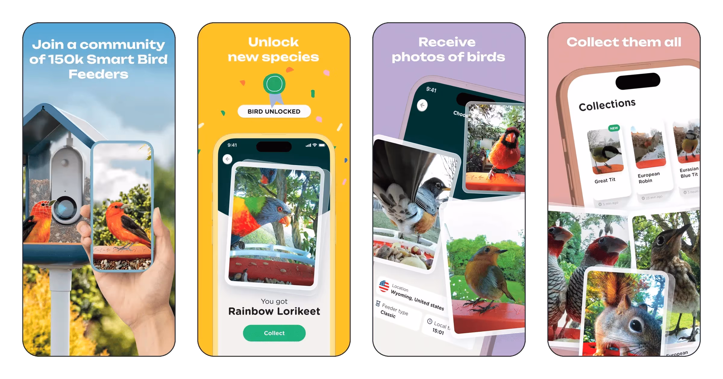 Bird Buddy: Tap Into Nature