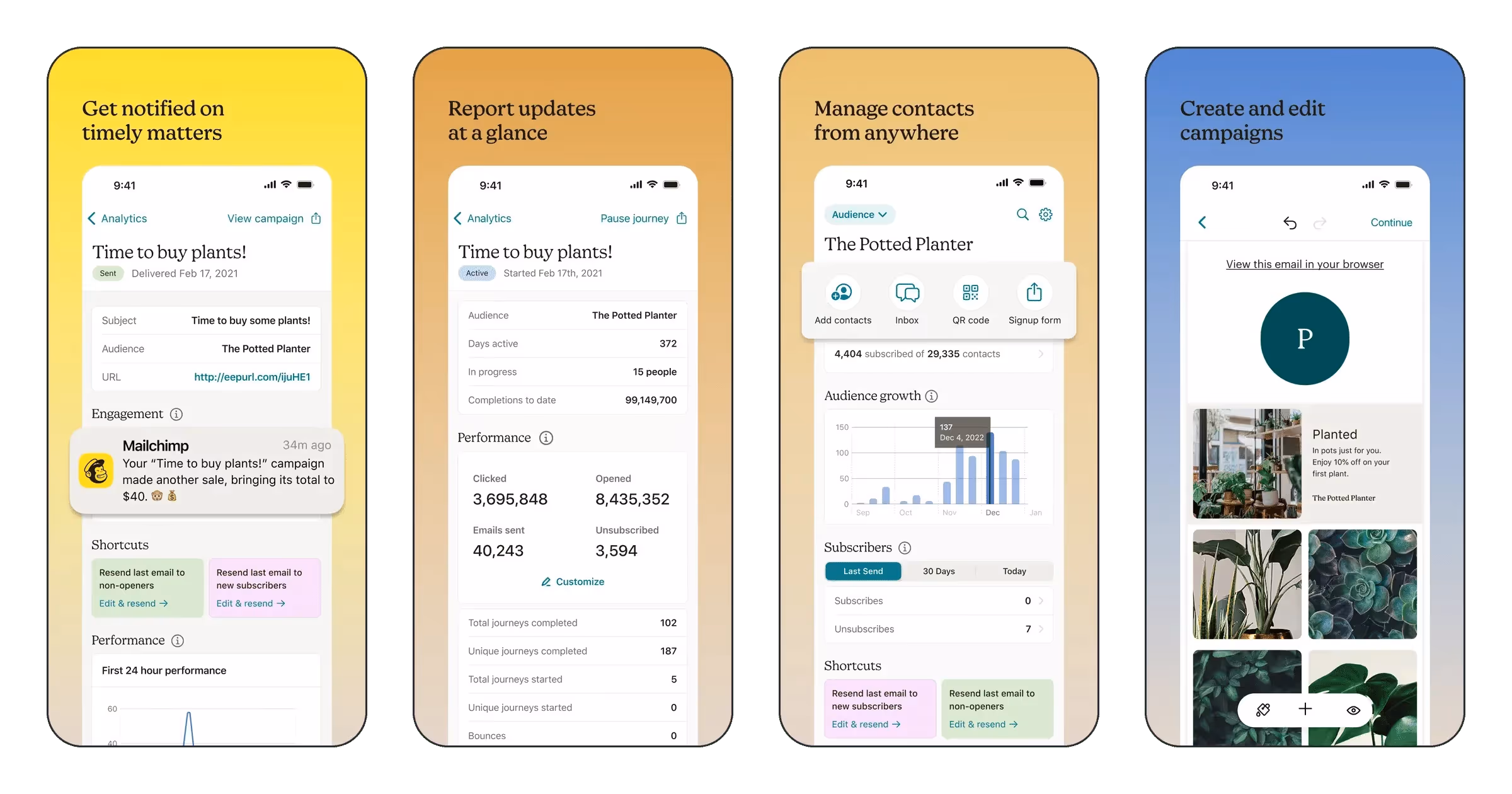 Mailchimp Email Marketing