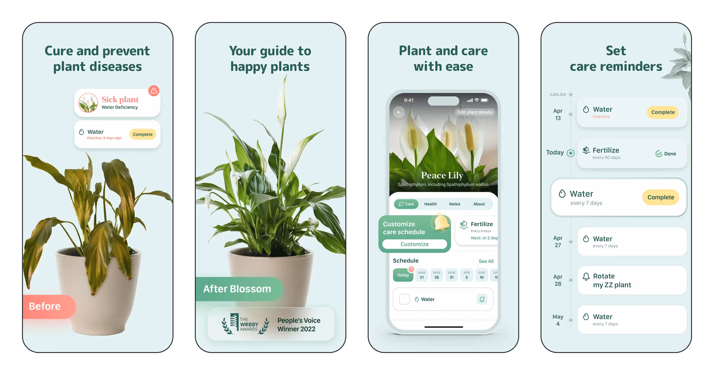 Blossom - Plant Care Guide