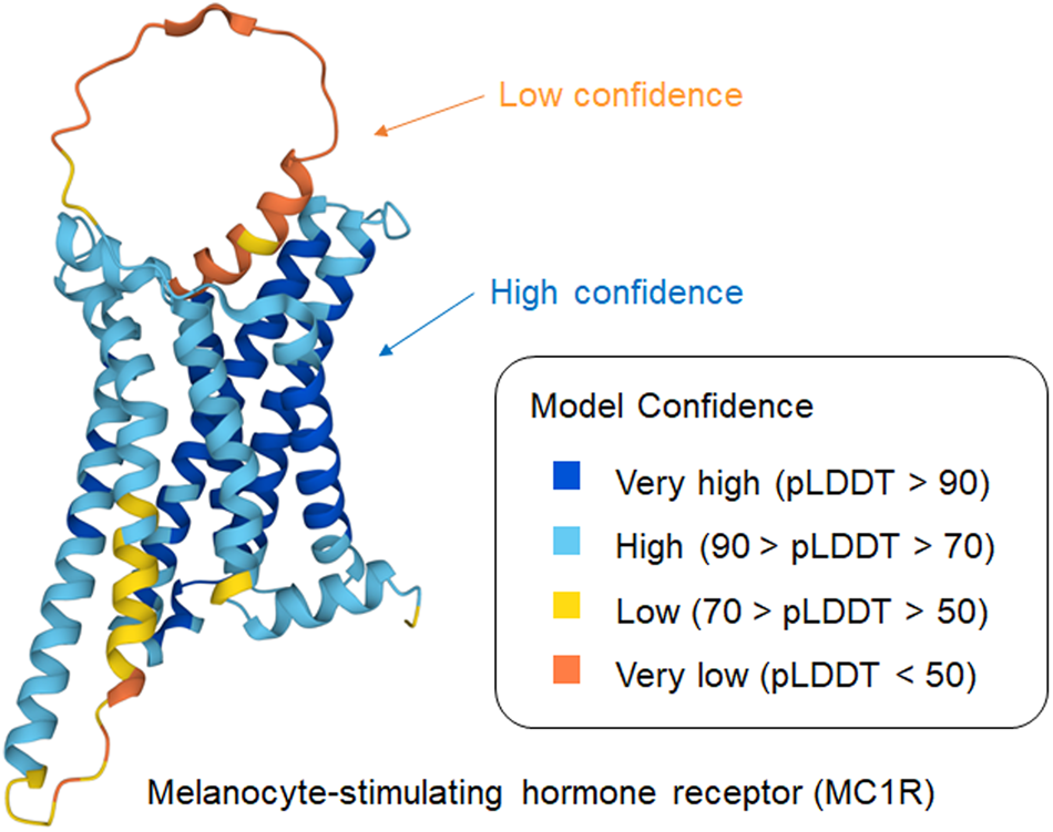 Decoding AI Predictions: A Game-Changer for Protein Research in Biomedical Advancements