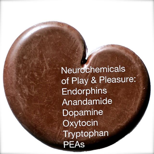 Discover How Cocoa Boosts Vascular Health and Fuels Intimacy for Deeper Romantic Connections