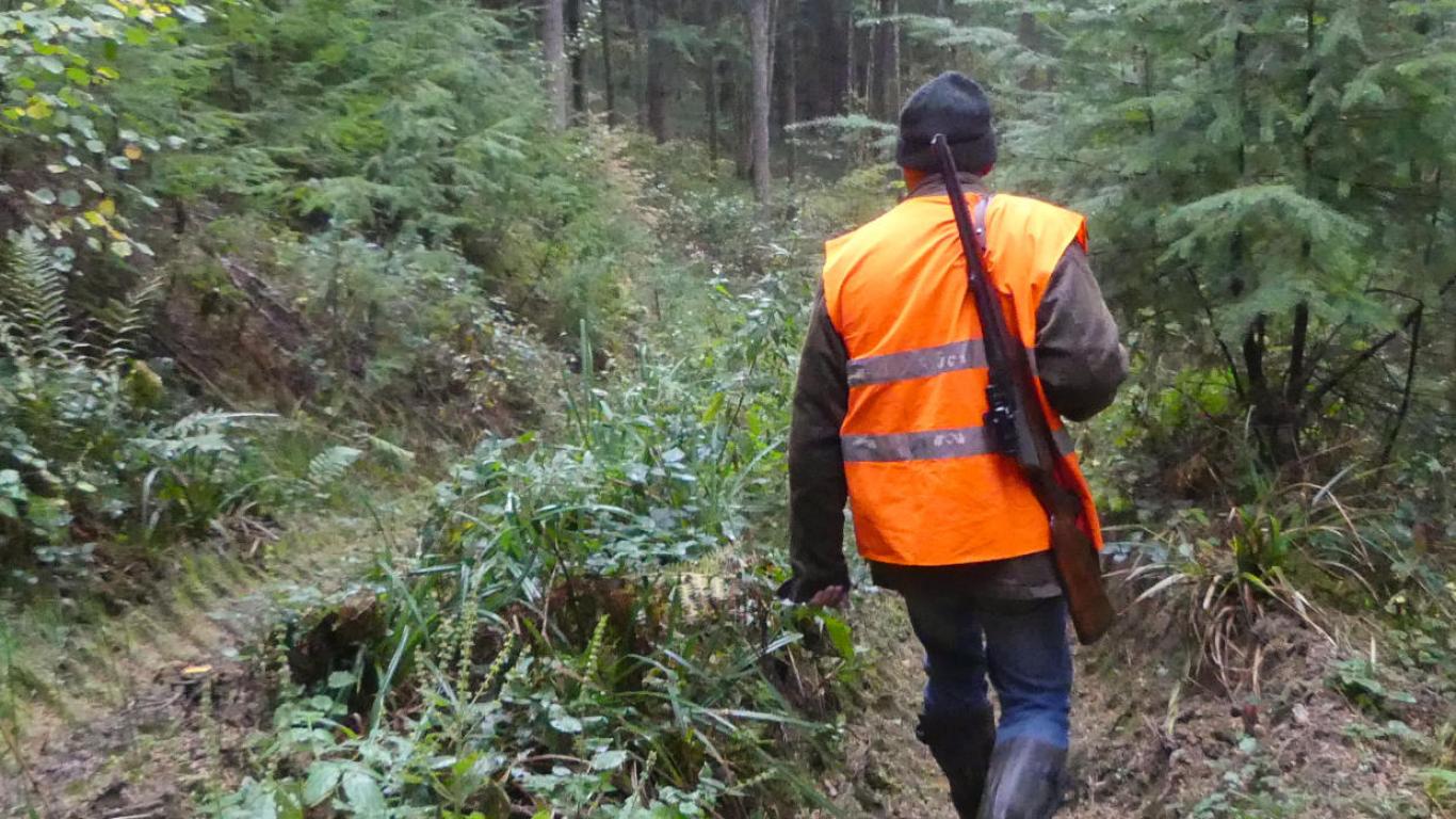 Les promeneurs sont invités à ne pas entrer dans la forêt ce jour de chasse