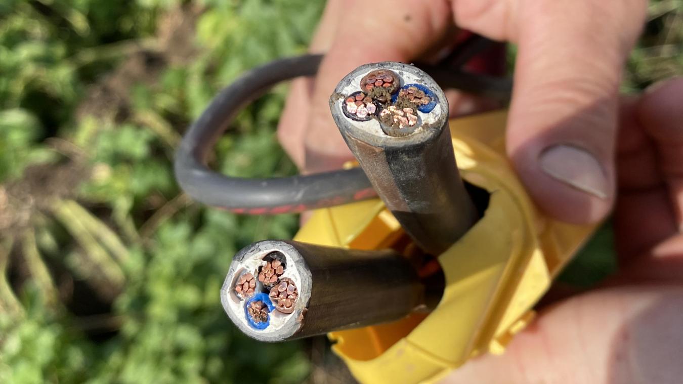 Photo d'uillustration