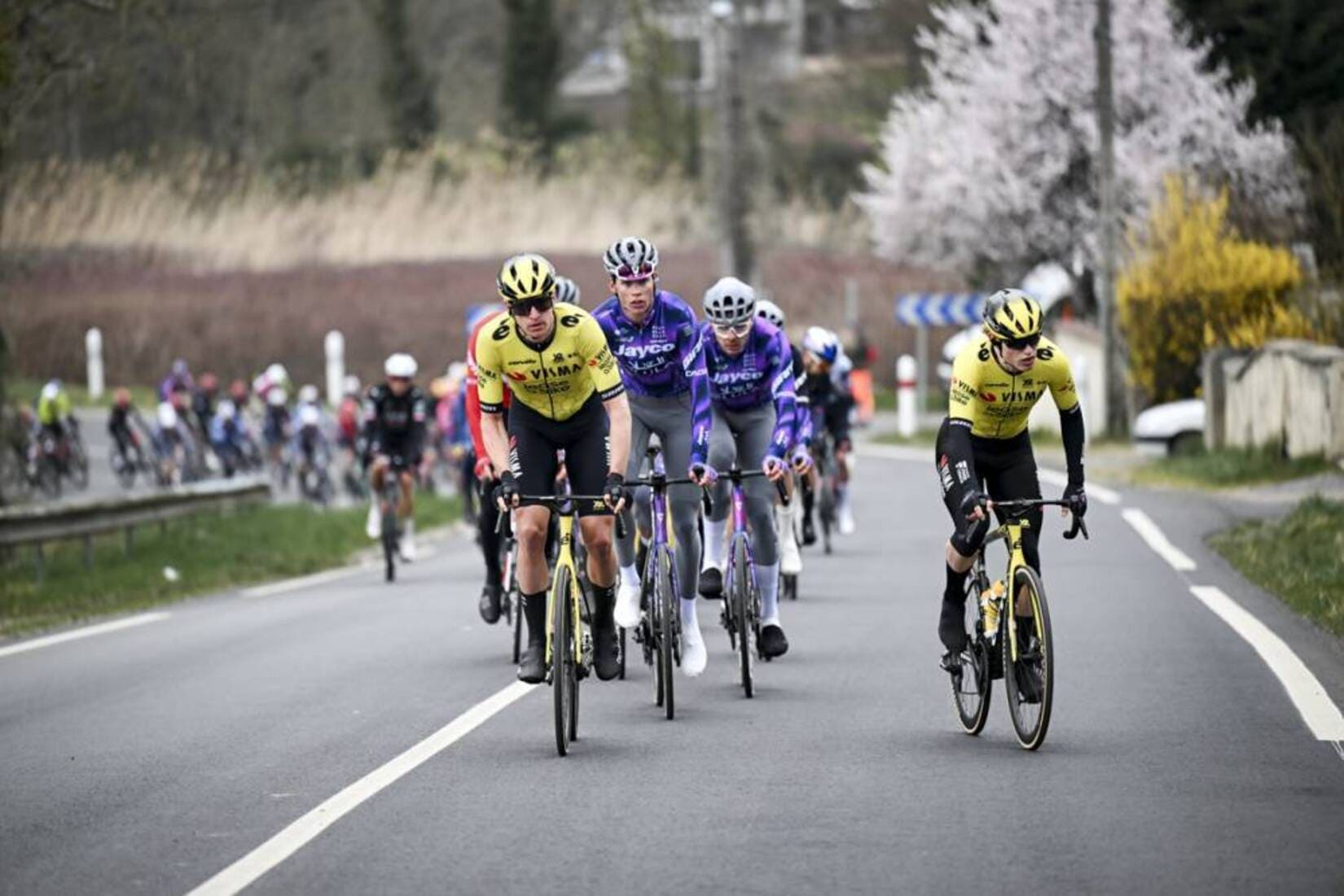 Photo Paris-Nice - Photo : ASO / Billy Ceusters