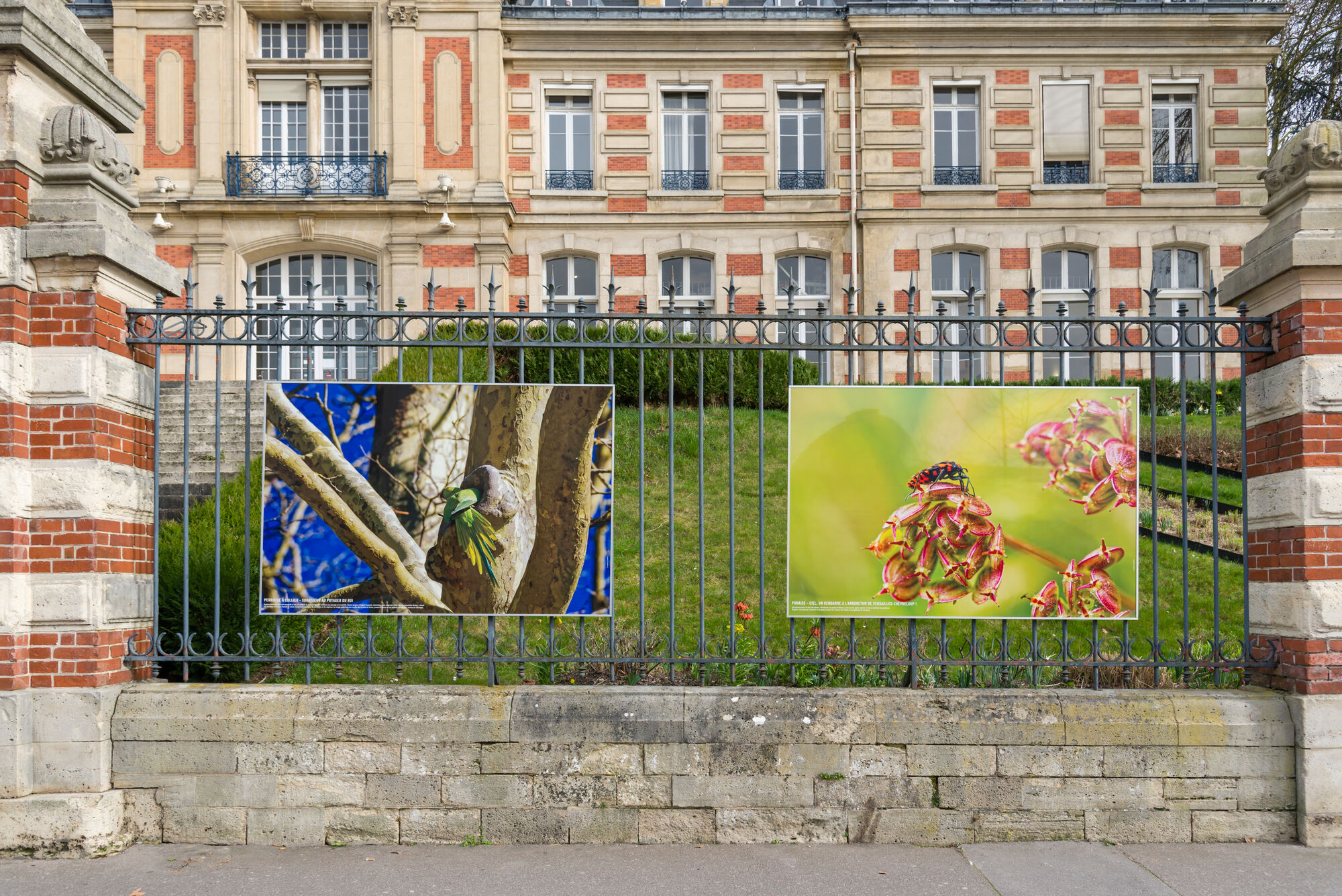 Photo : Facebook Ville de Versailles