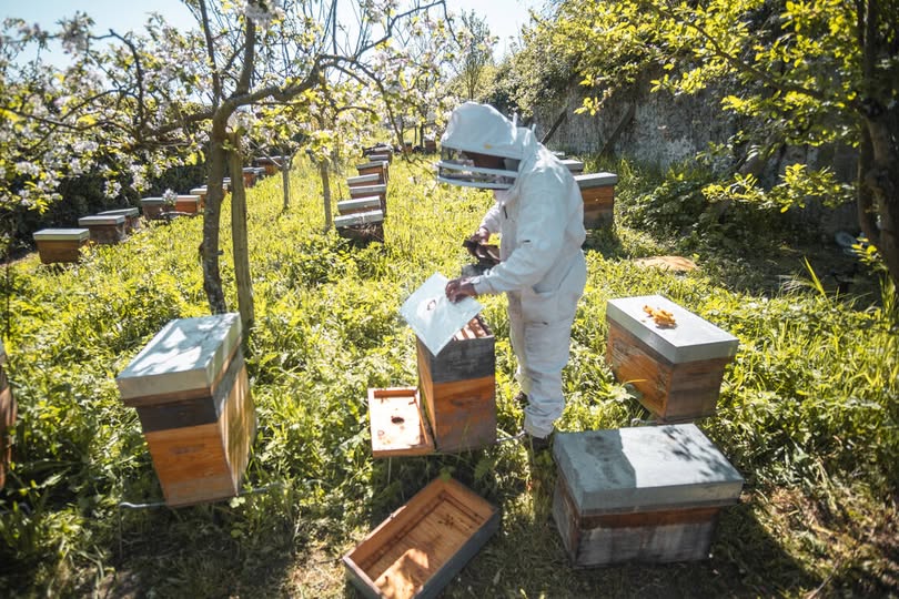 Photo : Facebook Ville de Poissy