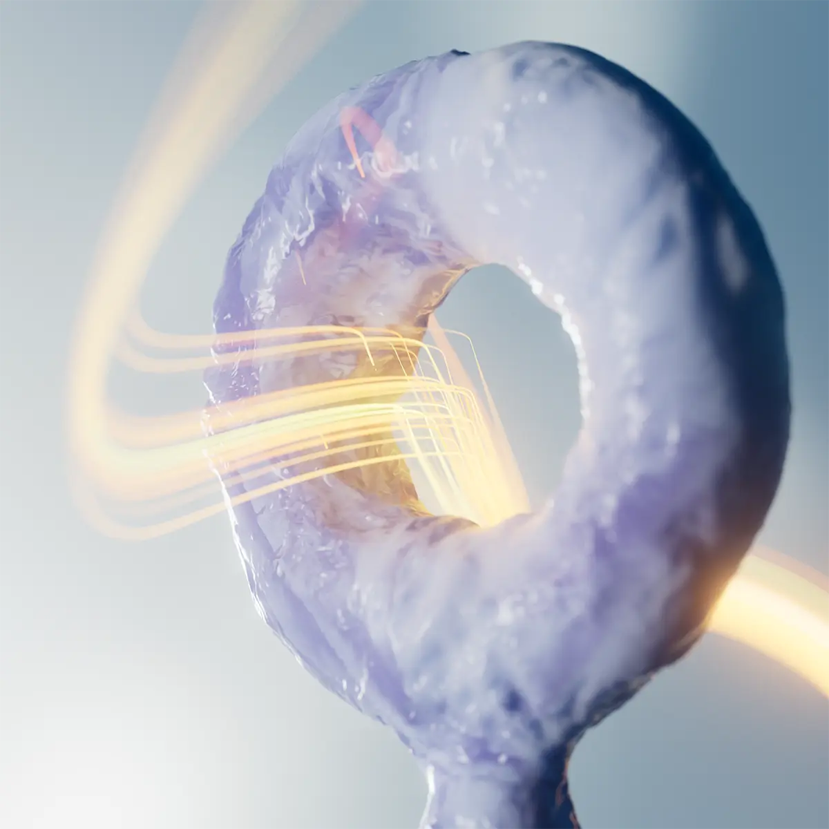 Light path through ice donut