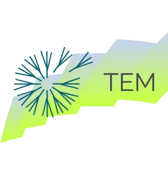 TEM Logo