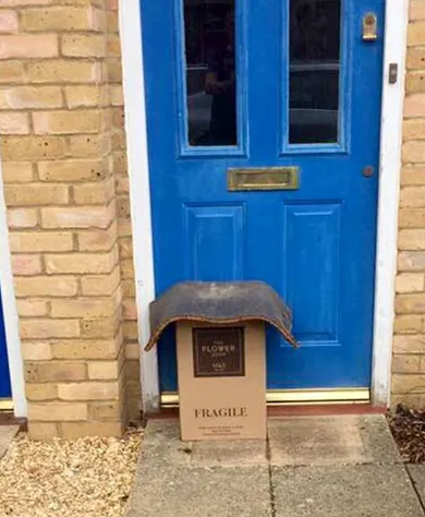 bad delivery
