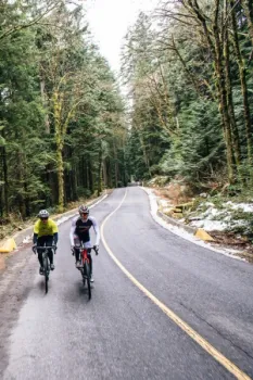 Shippit Case Study | 99 Bikes 2