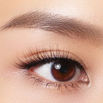 Close up of womans eyelashes