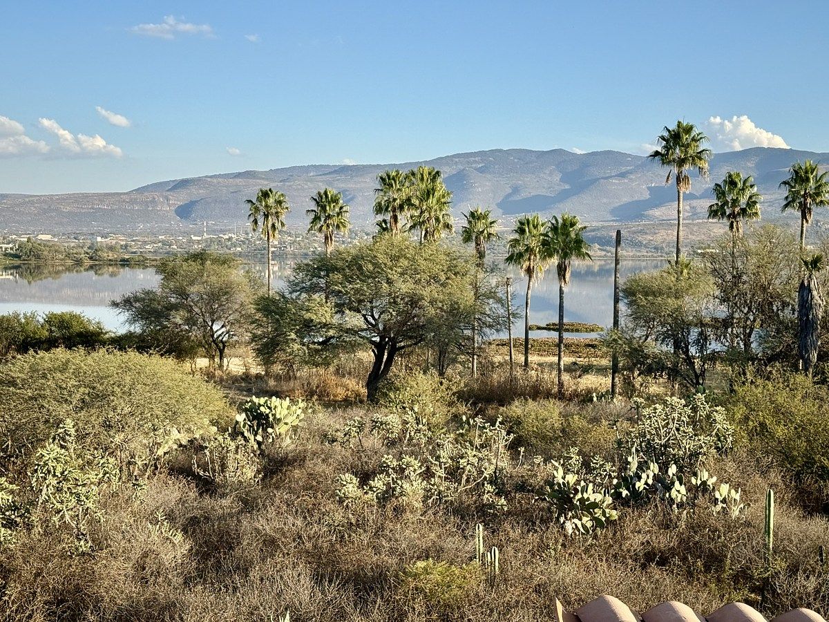 VENTA DE CASA DE CAMPO EN LA PRESA ALLENDE - imagen 15