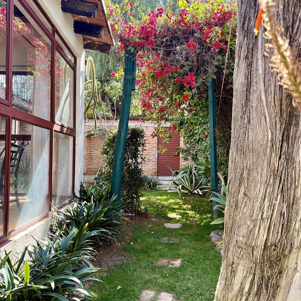 RENTA DE CASA 2 EN EL CENTRO - imagen 3