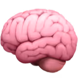 A brain representing smart