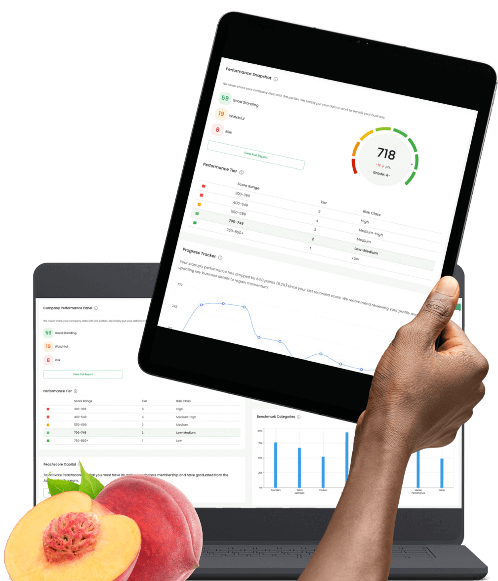 Peachscore Technology - FICO Score for Startups