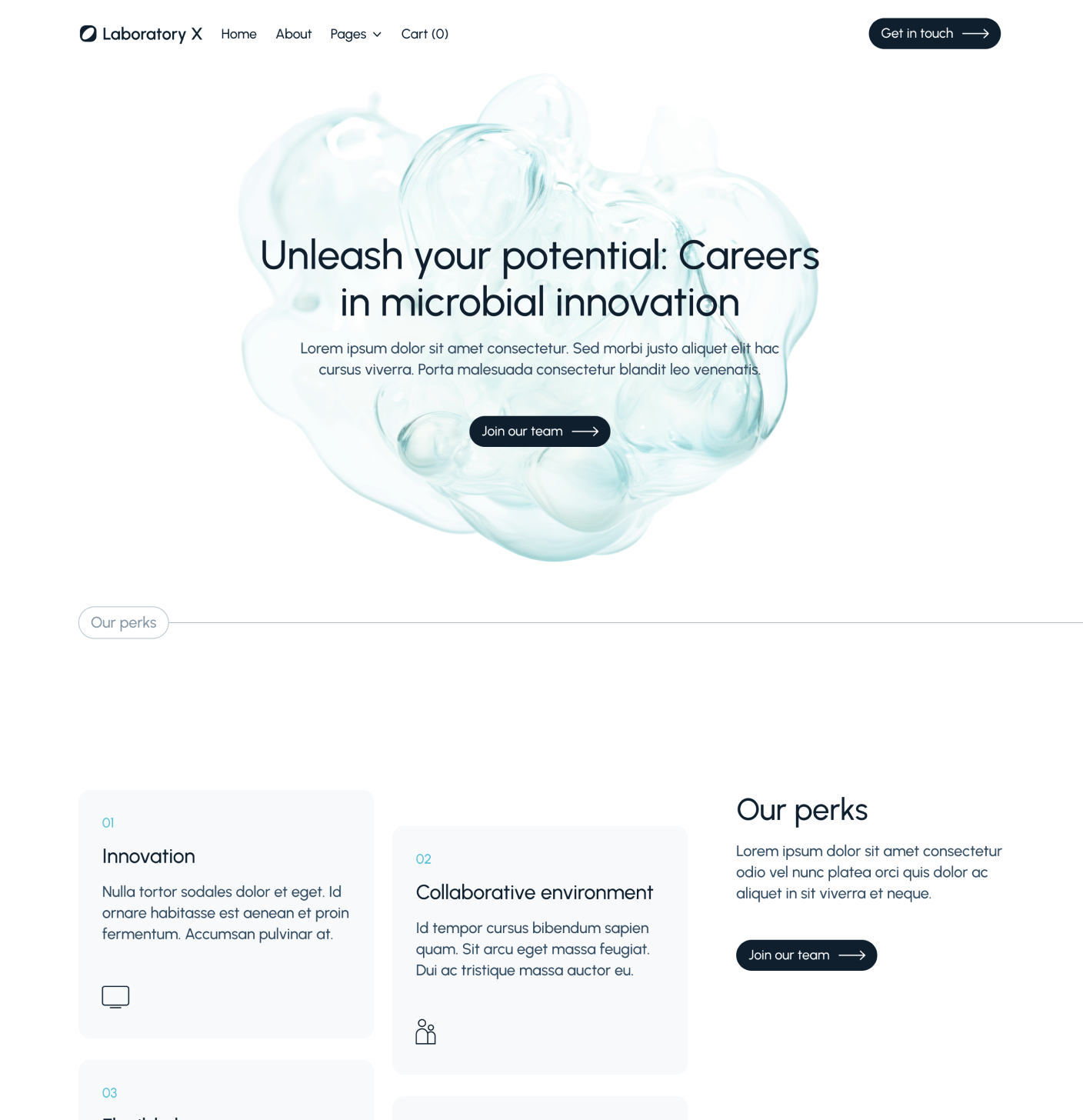 Laboratory X - Careers Main Page - Laboratory Webflow Template
