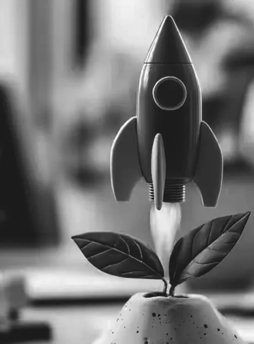 Small rocket launching upward from a plant with two leaves growing out of a mound of soil, symbolizing startup growth.