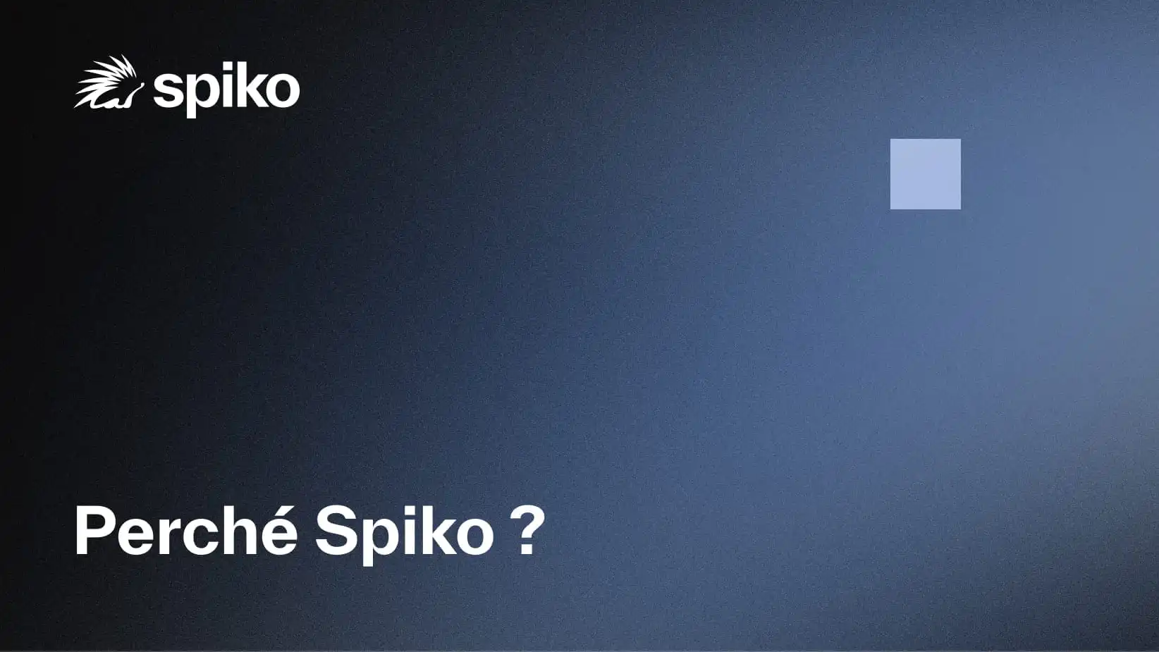 Perché Spiko?