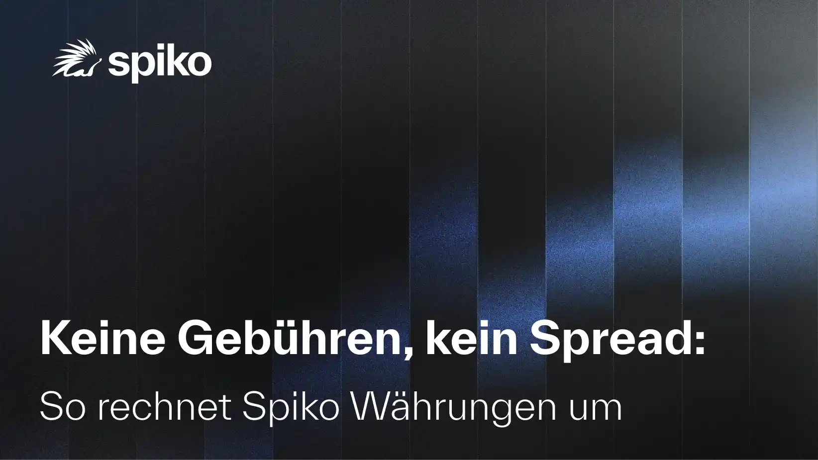 Keine Gebühren, kein Spread: So rechnet Spiko Währungen um