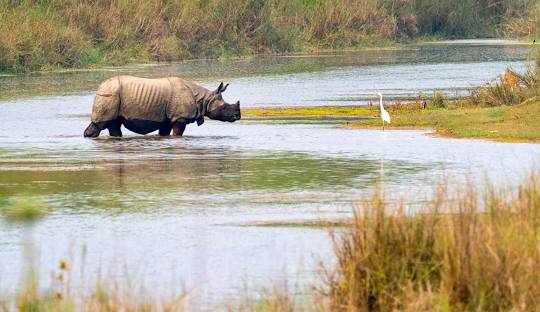 Karnali Rafting and Kayaking Expedition