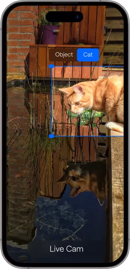 phone