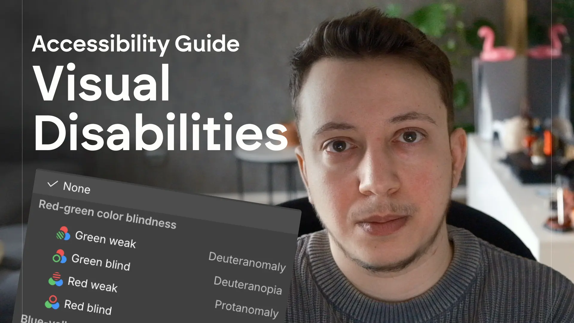 Man in gray sweater beside text 'Accessibility Guide Visual Disabilities' and a menu showing red-green color blindness options.