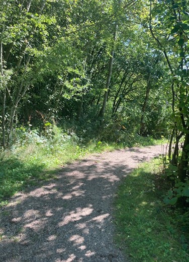 One of the many paths of the therapy garden