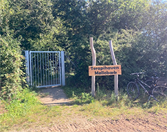The entrance to the therapy garden