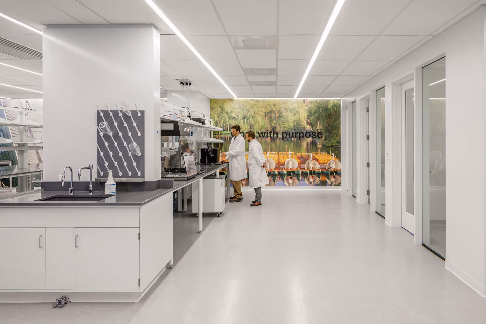 Modern white laboratory with scientists working, nature poster in background