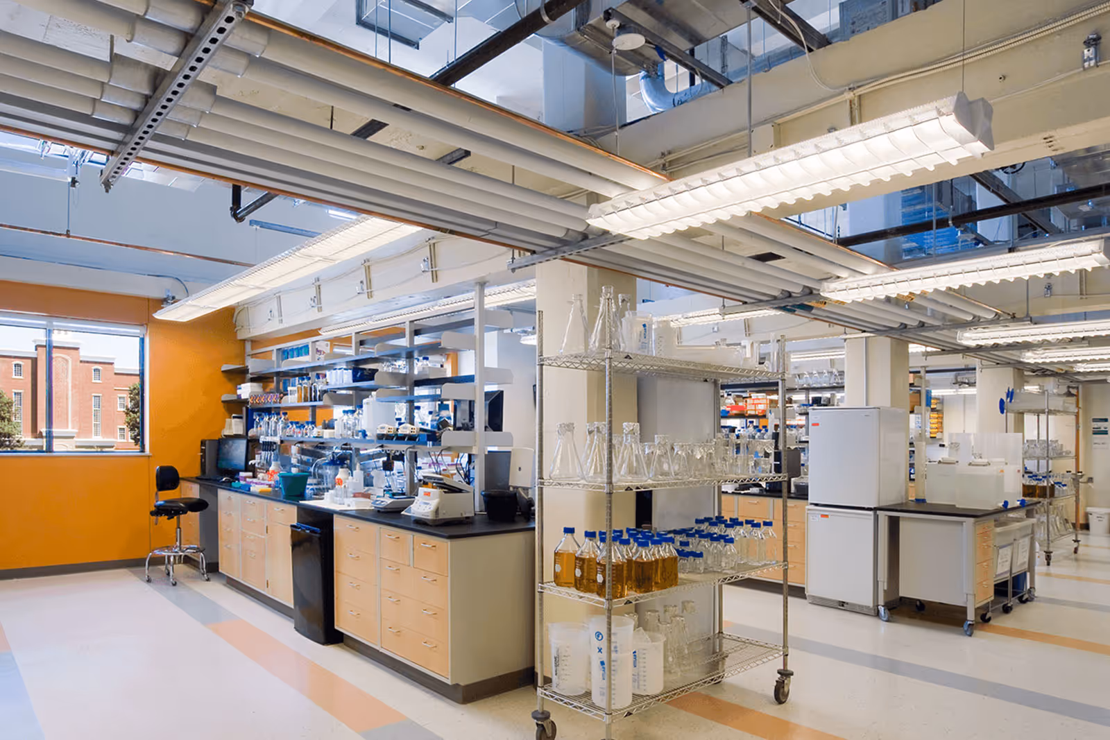 Modern scientific laboratory with equipment, shelves, and glassware