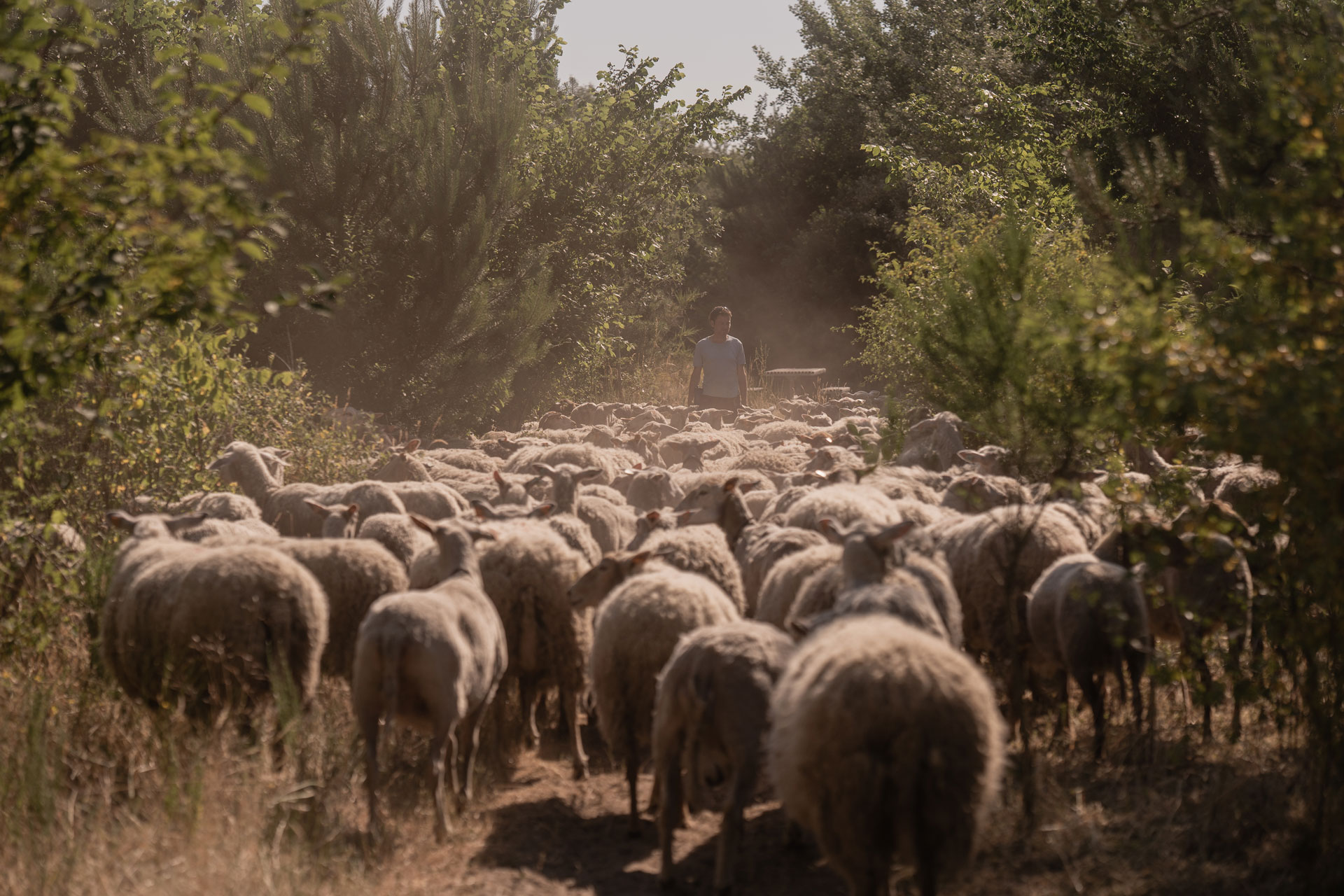 Beeld Liesbet De Waele voor Expo GESCHAPEN