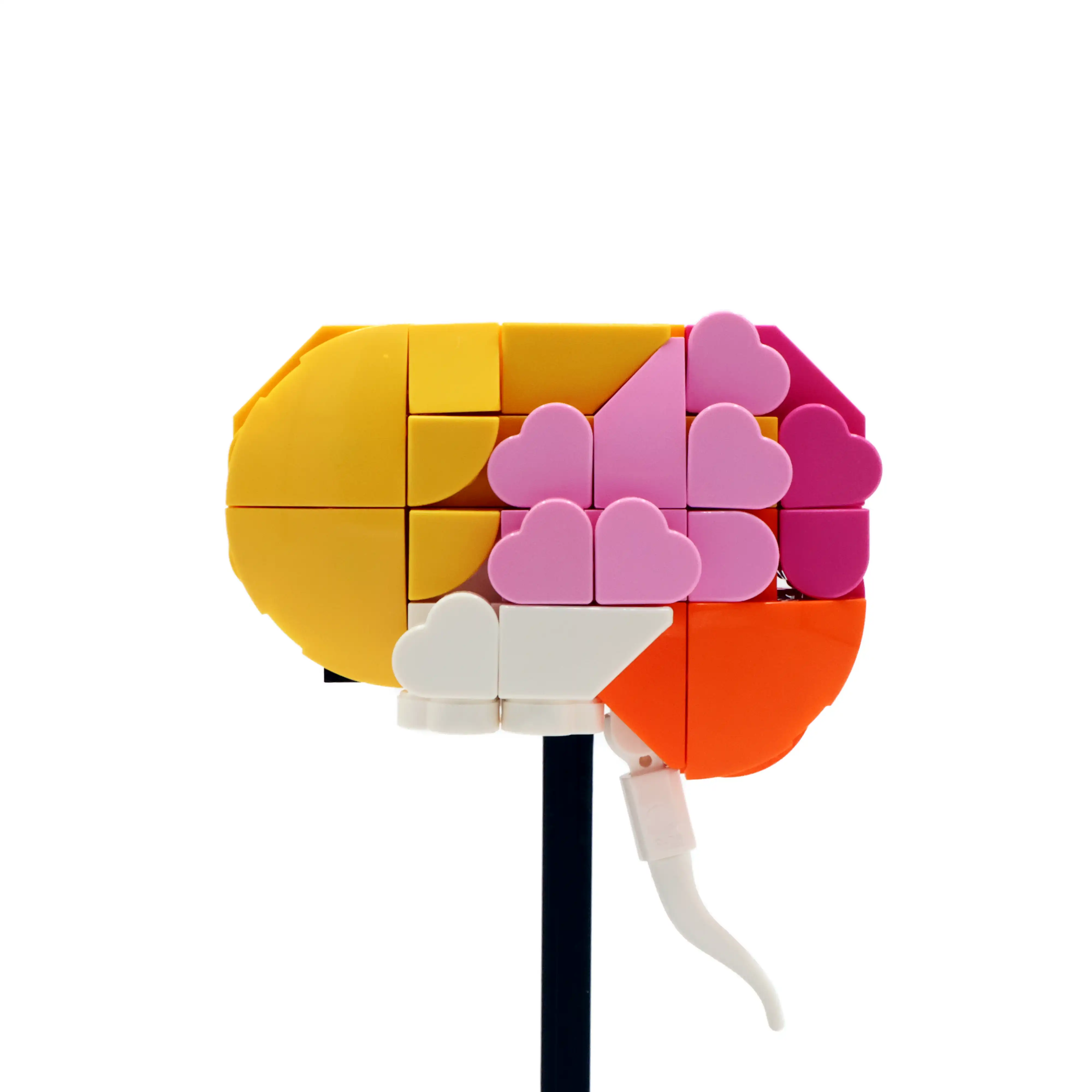 Ben Brickson and the Indiana School Care Team partnered together to create 300 kits of the Human Brain.