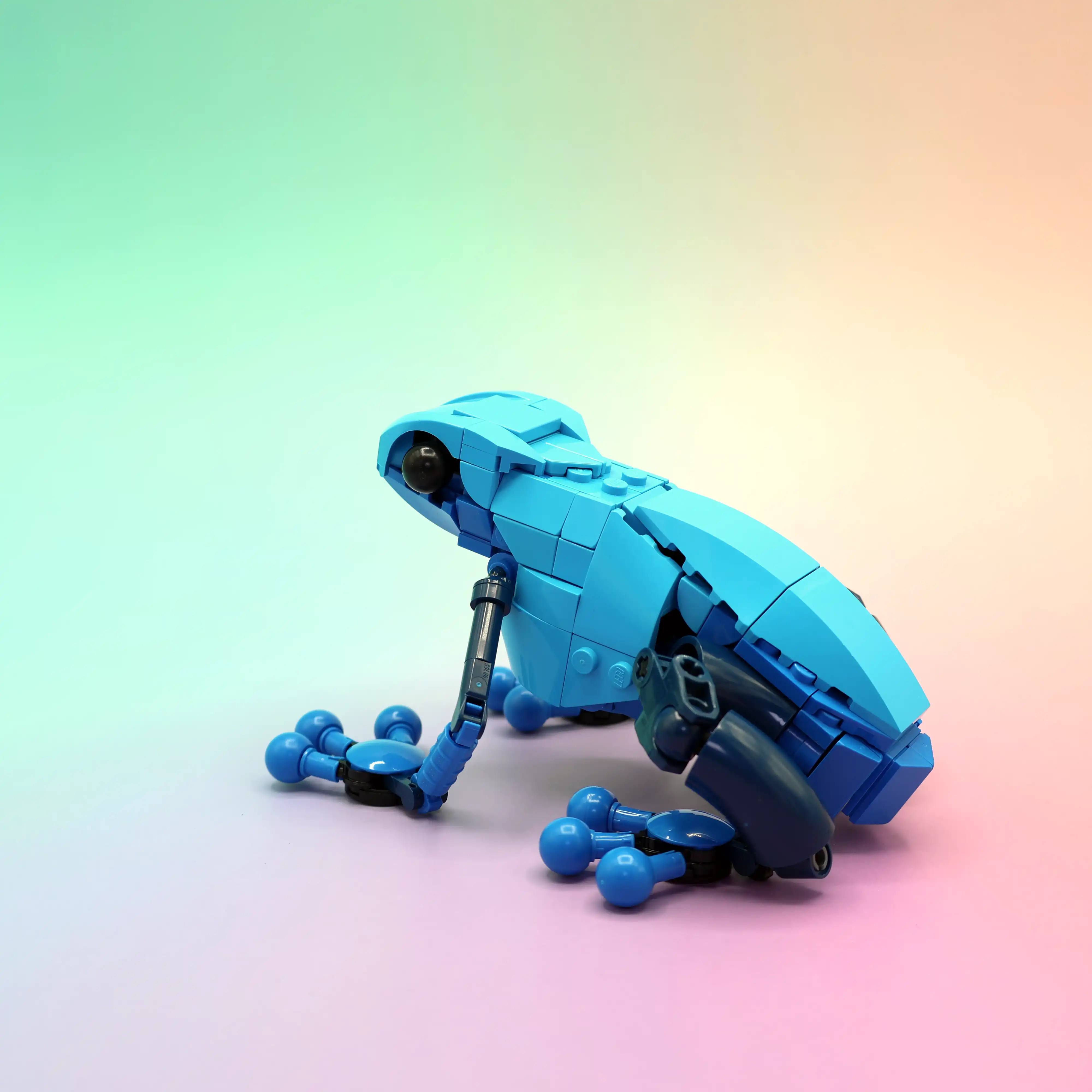 Ben created a custom LEGO poison dart frog!