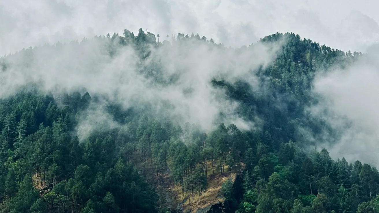 Mountain with lots of fog