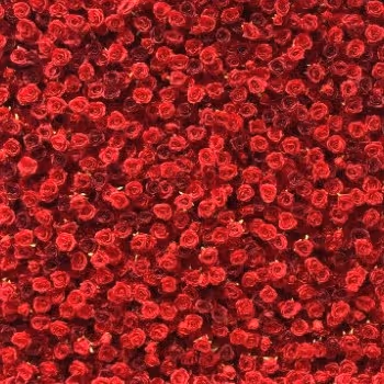 A dense wall of vibrant red roses arranged closely together, creating a rich floral backdrop.