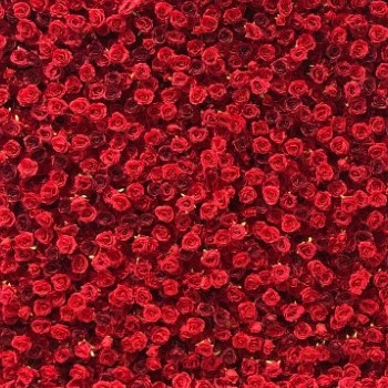 A dense wall of vibrant red roses arranged closely together, creating a rich floral backdrop.