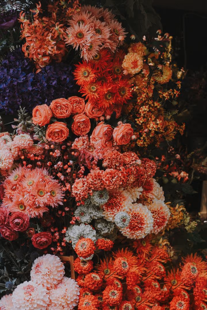 Backdrop Hire: The Easiest Way to Turn a Moment Into a Masterpiece