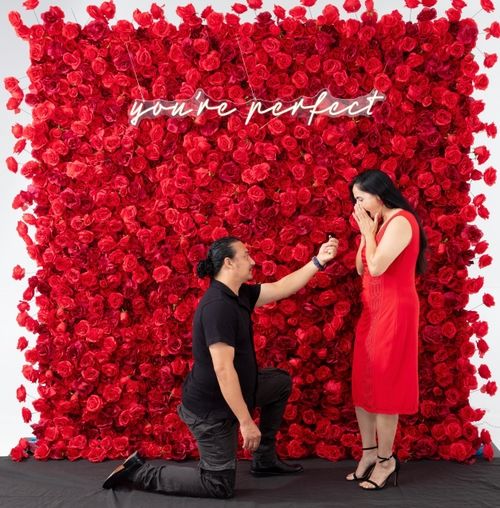 CRIMSON RED FLOWER WALL