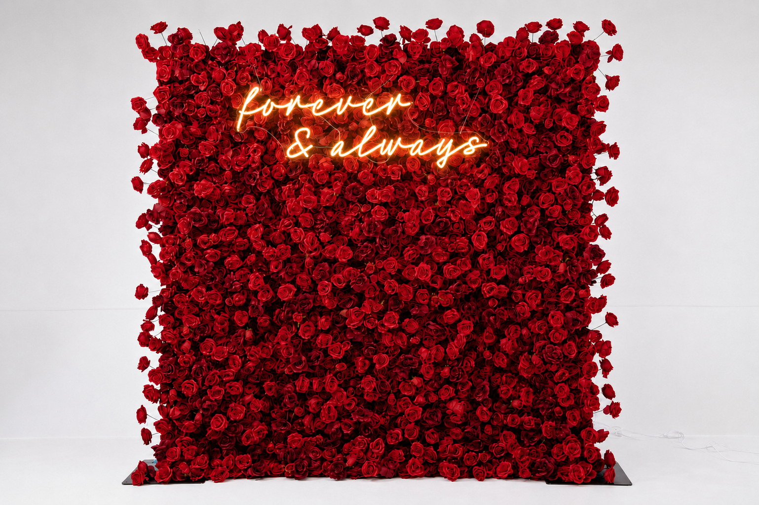 Crimson Red Flower Wall